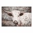 White Ox 36x24 Canvas Wall Art