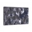 Obscurity 48x32 Canvas Wall Art