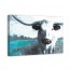 Teal Spotted Ox 48x32 Canvas Wall Art