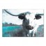 Teal Spotted Ox 48x32 Canvas Wall Art