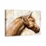 Sunbathing Stallion 48x32 Canvas Wall Art