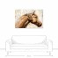 Sunbathing Stallion 48x32 Canvas Wall Art