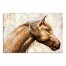 Sunbathing Stallion 48x32 Canvas Wall Art