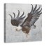 The Eagle 30x30 Canvas Wall Art