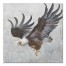 The Eagle 30x30 Canvas Wall Art