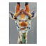 George 24x36 Canvas Wall Art 