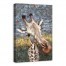 Gentle Giraffe 24x36 Canvas Wall Art