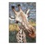 Gentle Giraffe 24x36 Canvas Wall Art