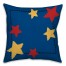 Baseball Whiz 16x16 Custom Throw Pillow Back