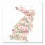 Pink Striped Rose Blossom Curious Rabbit 16x16 Canvas Wall Art 