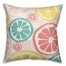 Summer Citrus Slices 18x18 Faux Suede Throw Pillow Back