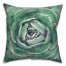 Light Emerald Succulent 18x18 Faux Suede Throw Pillow Front