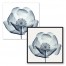 Blue X-Ray Poppy Papaver Wall Art