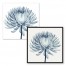Blue X-Ray Pompon Chrysanthemum Wall Art
