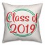 Class of 2019 18x18 Spun Poly Pillow