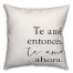Te Amé Entonces, Te Amo Ahora 18x18 Spun Poly Pillow
