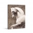 Stoic White Horse Canvas Wall Art
