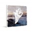 Conch Shell Canvas Wall Art
