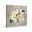 Lovely Blooms Canvas Wall Art