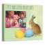 Easter Bunny Eggs 14x11 Personalized Canvas Wall Art