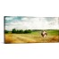 Brown Cow In Field Gallery Wrapped Canvas 48x12