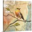 Fabulous Bird Gallery Wrapped Canvas 16x16 
