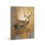 Golden Deer Days 24x36 Canvas Wall Art