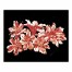 Lilly Study on Black 20x16 Canvas Wall Art
