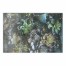 Succulents on Wood 1 36x24 Canvas Wall Art