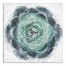 Emerald Succulent 2 30x30 Canvas Wall Art