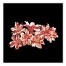 Lilly Study on Black 1 36x36 Canvas Wall Art