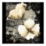 Warm Blossoms 1 36x36 Canvas Wall Art