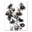 Black and White Wild Flowers 16x20 Canvas Wall Art