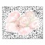 Blush and Pin Dot Blooms 20x16 Canvas Wall Art