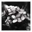 Shadow Hydrangia 20x20 Canvas Wall Art