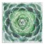 Emerald Succulent 20x20 Canavs Wall Art