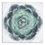 Emerald Succulent 1 20x20 Canvas Wall Art