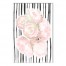Roses and Lines 24x36 Canvas Wall Art