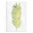 Watercolor Palm Leaf 12x18 Outdoor Canvas Wall Art
