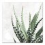 Cactus Composition 24x24 Outdoor Canvas Wall Art