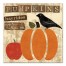 Pumpkins 16x16 Canvas Wall Art