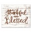 Thankful And Blessed II 20x16 Canvas Wall Art
