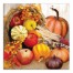 Cornucopia 20x20 Canvas Wall Art