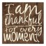 I Am Thankful 20x20 Canvas Wall Art