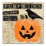 Pumpkins II 20x20 Canvas Wall Art