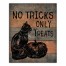 No Tricks 16x20 Canvas Wall Art