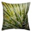 Succulent Close-Up 16x16 Throw Pillow