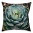 Solitary Succulent 16x16 Throw Pillow