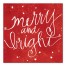Red Merry and Bright 20x20 Canvas Wall Art