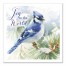 Joy to the World Blue Jay 24x24 Canvas Wall Art